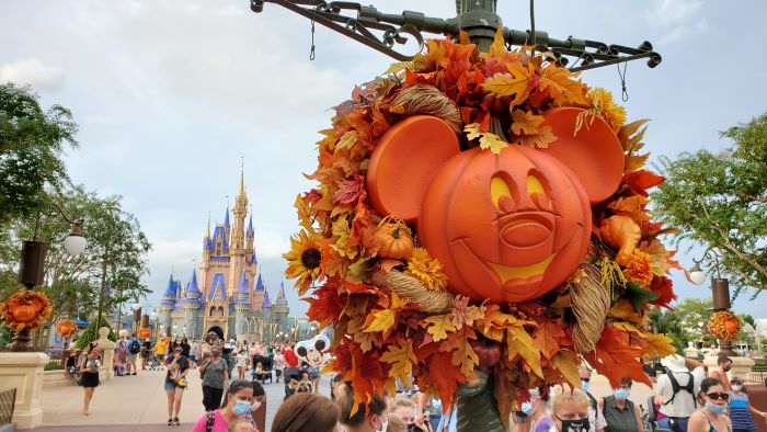 What Is The Disney Rash And How To Avoid It