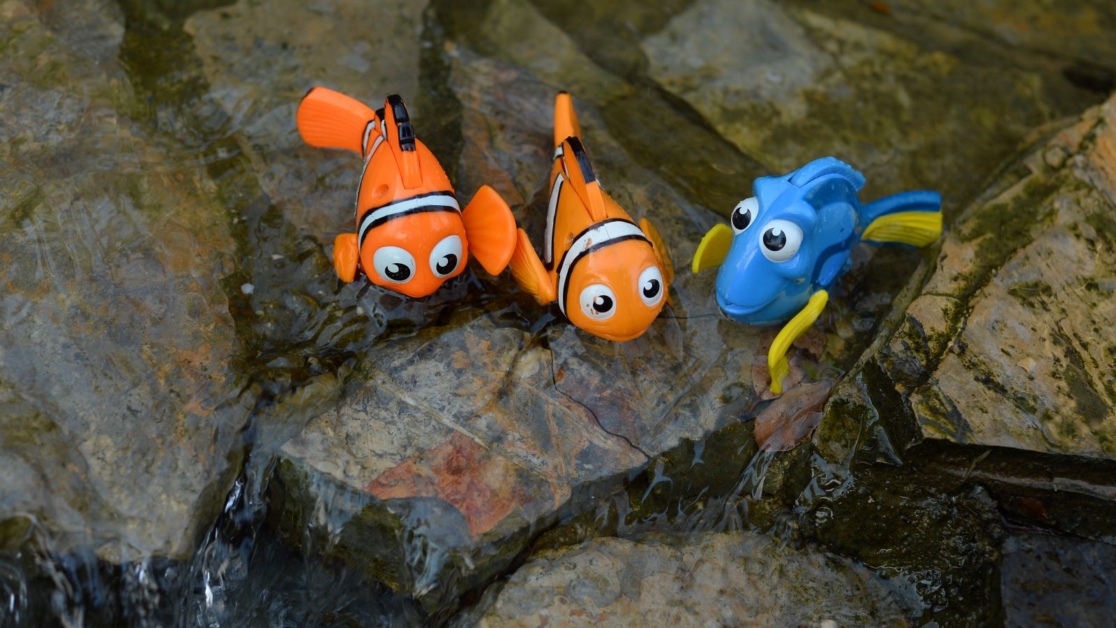 Finding Nemo The Musical Shutterstock 2257145629