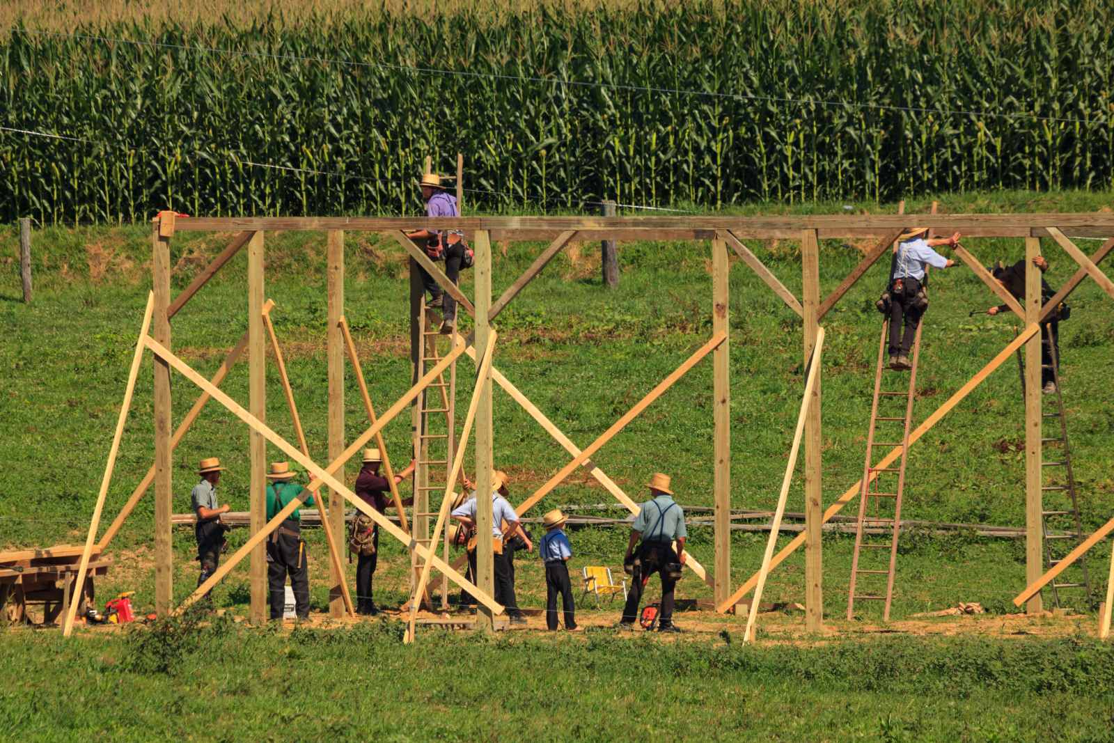 Seven Brides For Seven Brothers