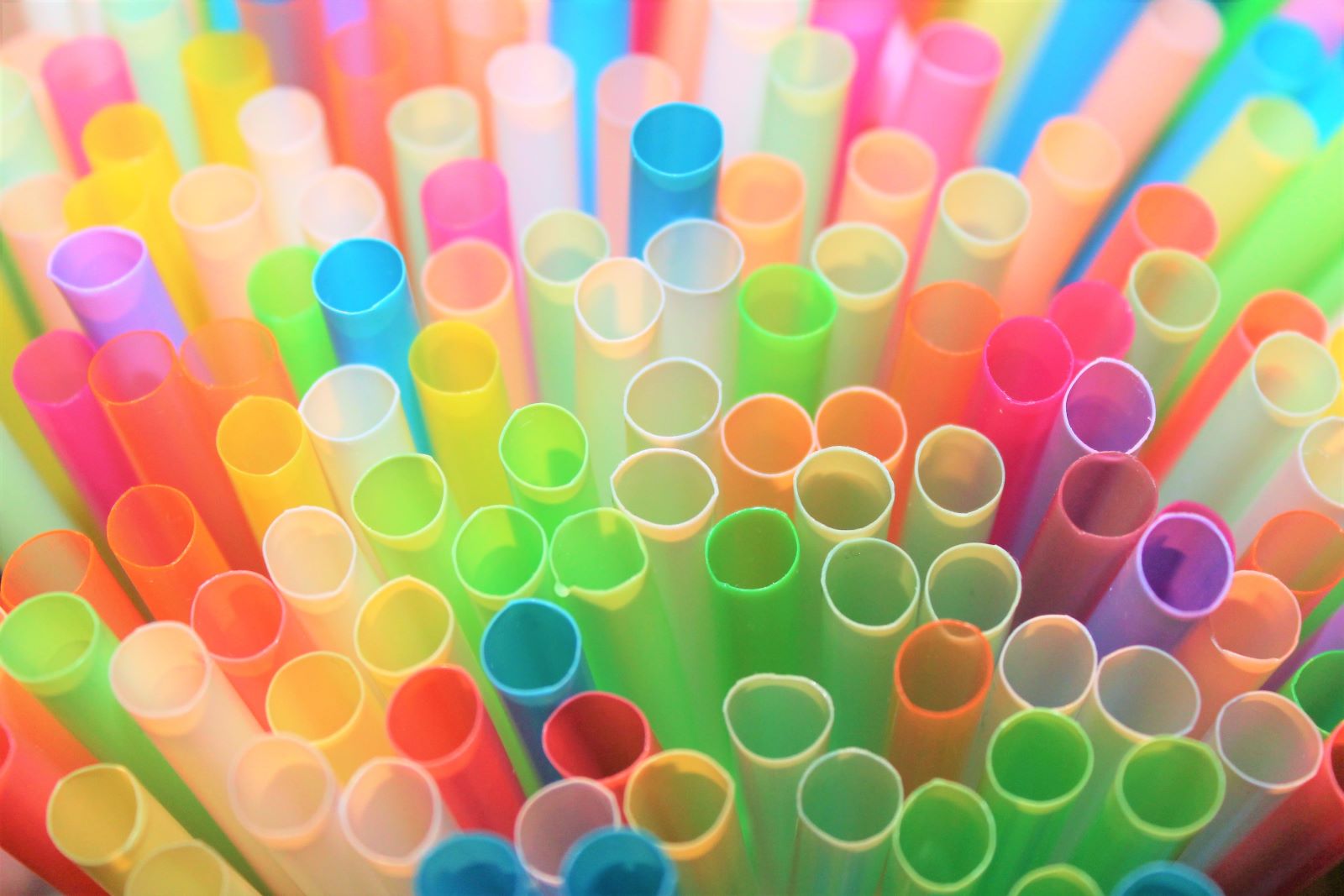 Straws Use To Store Necklaces And Avoid Tangling