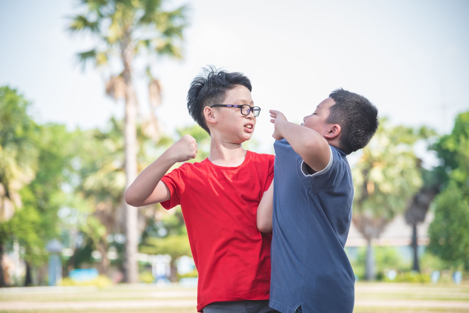 Disrespecting Others 2 Boys Fighting