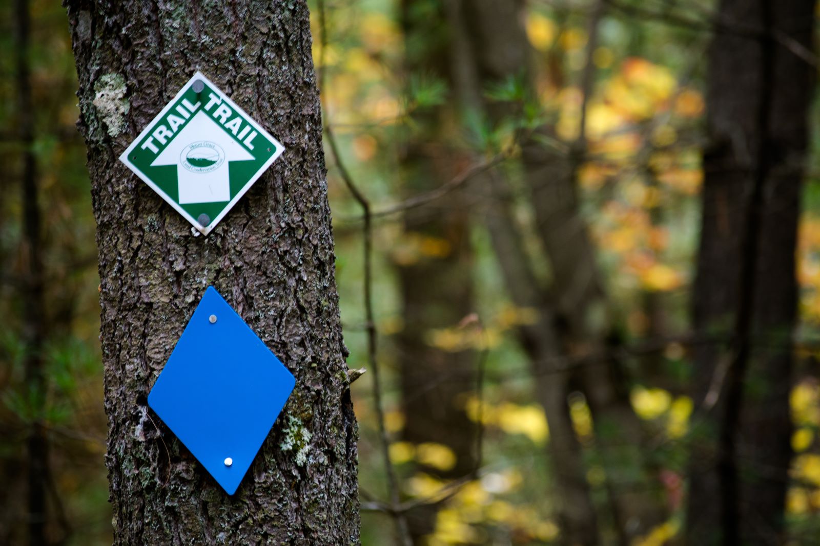 Trail Markers