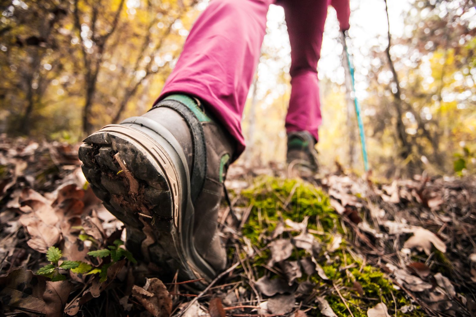 Hiker Footwear