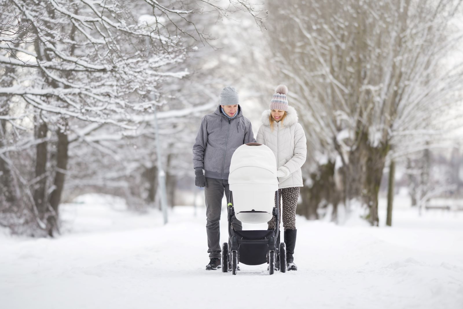 Family Baby Stroller Snow