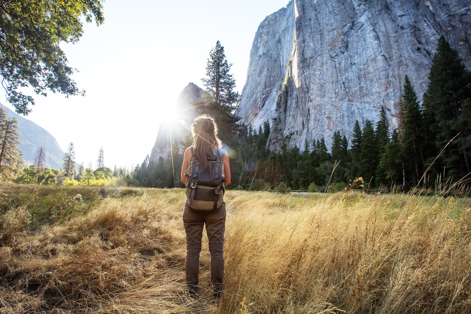Yosemite Tourist